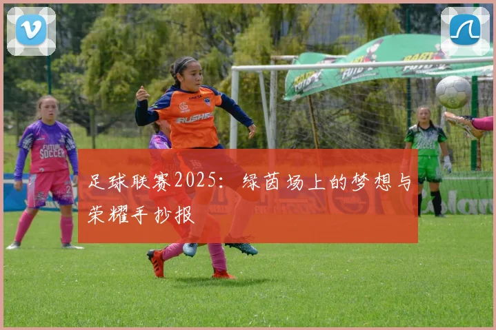 足球联赛2025:绿茵场上的梦想与荣耀手抄报