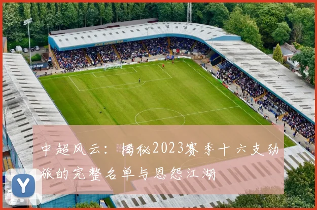 中超风云:揭秘2023赛季十六支劲旅的完整名单与恩怨江湖